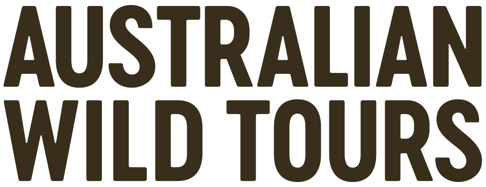 Australian Wild Tours